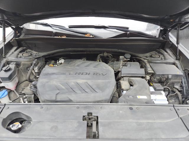 lotterental_134907866_7MfI6_1.jpg