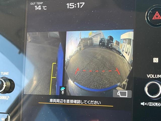 20556171_carP_l_10.jpg
