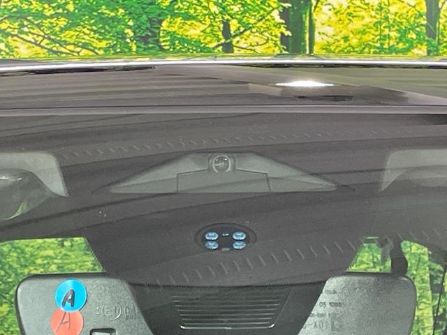 21620300_carP_l_10.jpg