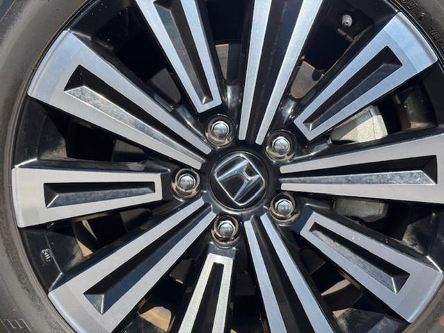 1301058A30260224W00612.jpg