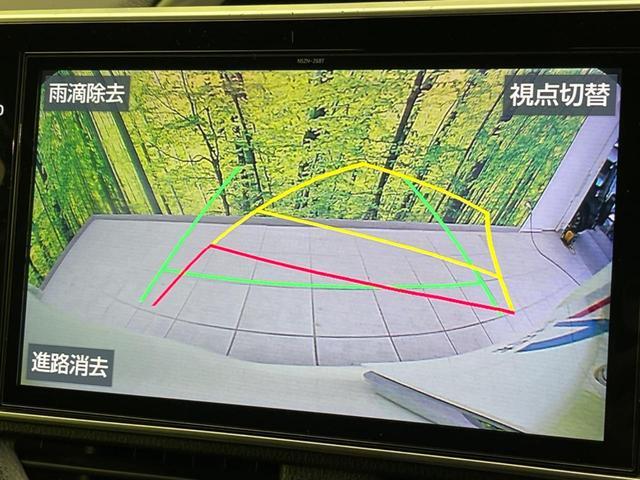 23169318_carP_l_10.jpg