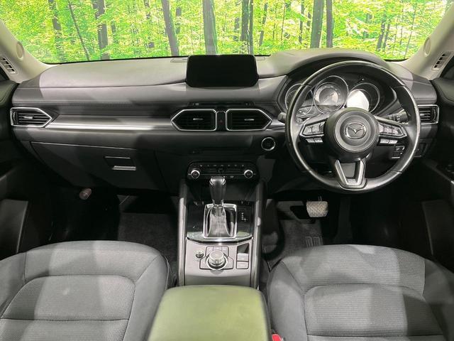 23014175_carP_l_3.jpg