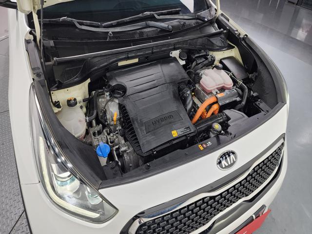 510cc33e4742873412858bd39dbfa606.jpeg