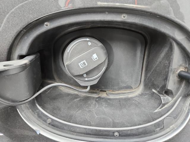 lotterental_171211469_xpet4_6.jpg
