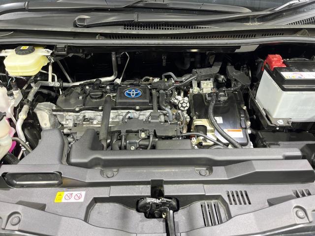 23074702_carP_l_16.jpg