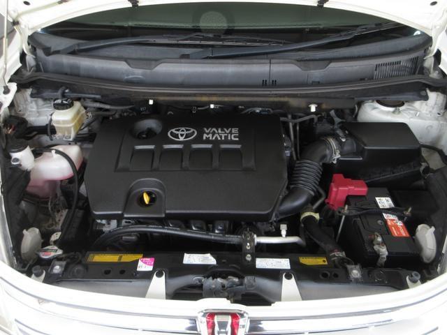 22794127_carP_l_20.jpg