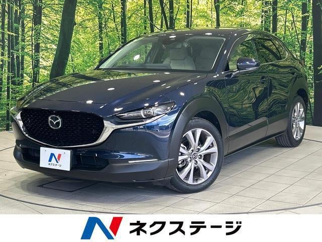 19723923_carP_l_1.jpg