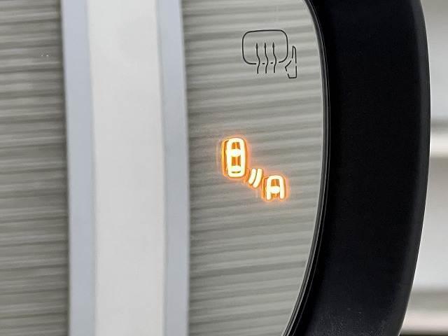 21195988_carP_l_13.jpg