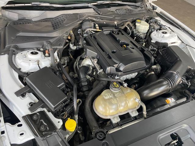 6e04a2341b56d78cc903e839281396d3.jpg