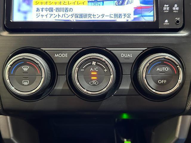 21904888_carP_l_19.jpg