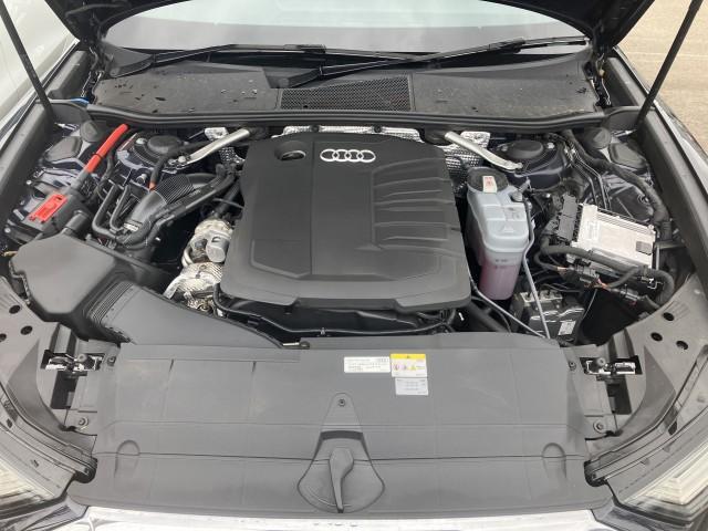 22901162_carP_l_17.jpg