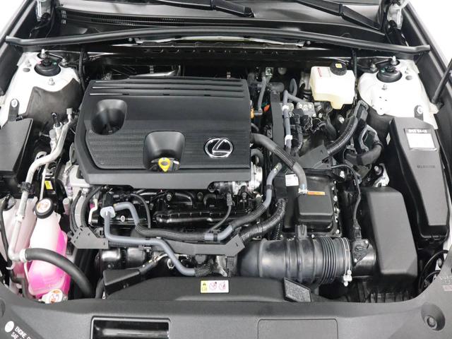 9c44bb51caf9625dfeb50501e464f5a9.jpeg