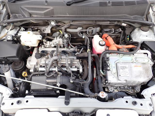 22301591_carP_l_17.jpg