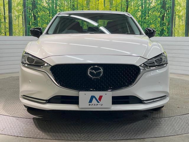 22525240_carP_l_9.jpg