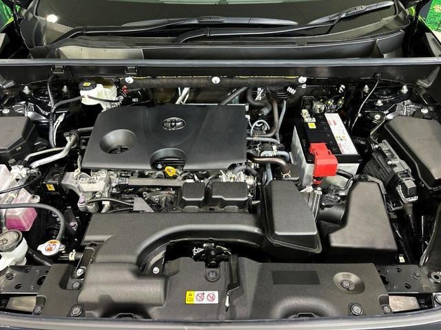 19583863_carP_l_16.jpg