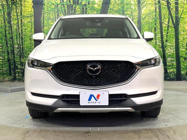 20710567_carP_l_9.jpg