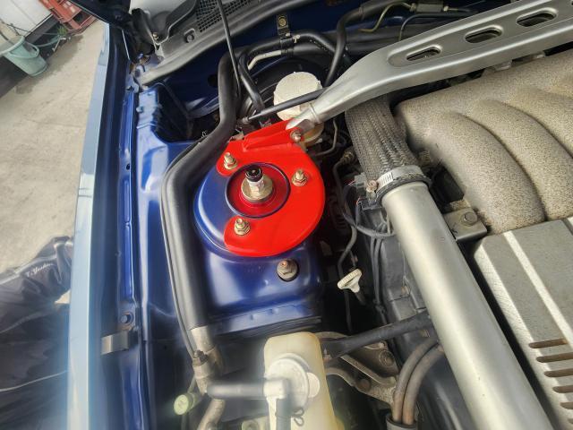 22426557_carP_l_7.jpg