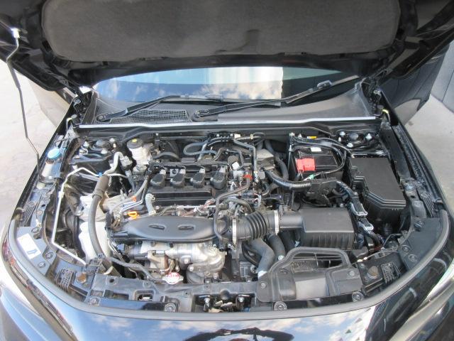 0561088A30251129W00117.jpg