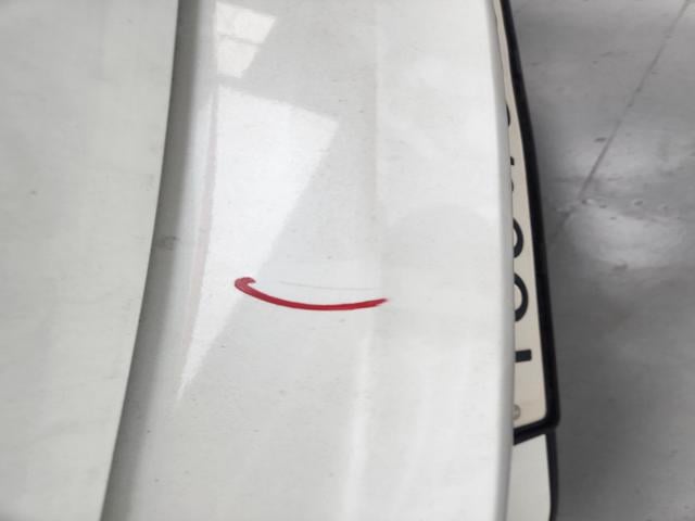 lotterental_142051715_SXgUg_3.jpg