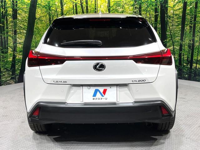 22411108_carP_l_9.jpg