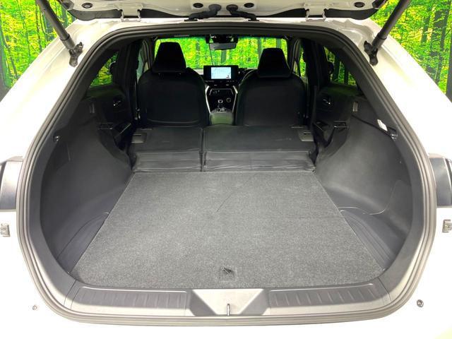 21927731_carP_l_5.jpg