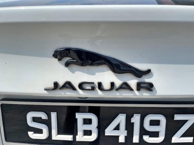 f399aff9783bc71bb360abc1144934f3.jpeg