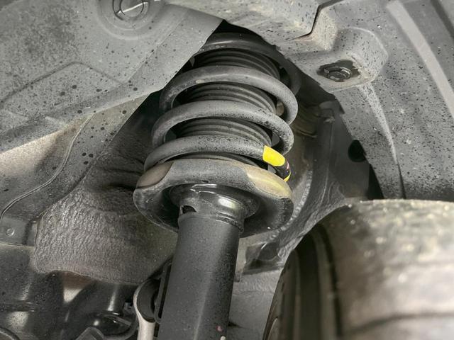 23053824_carP_l_20.jpg