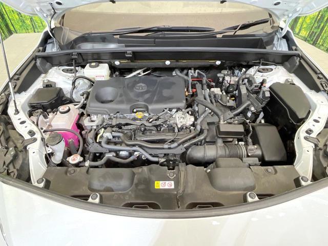 21637671_carP_l_16.jpg