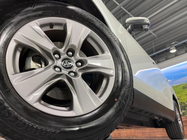 23169887_carP_l_7.jpg