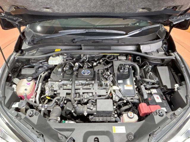 08cae9712863189f28a98b543926e421.jpg
