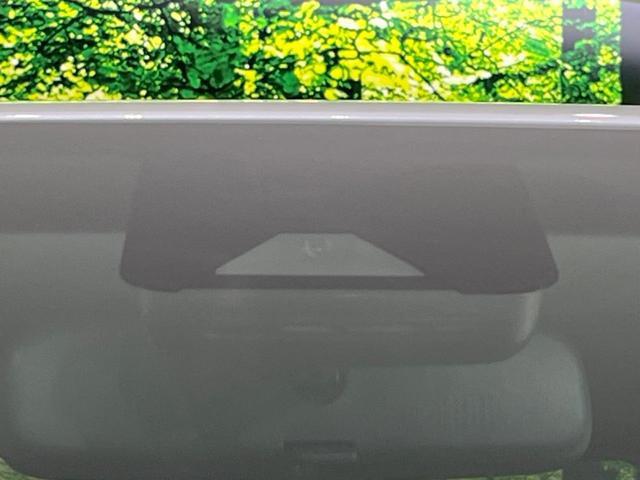 22150827_carP_l_14.jpg