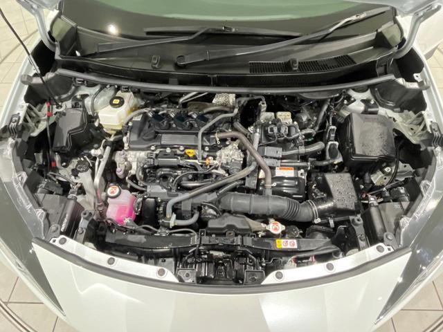 22150827_carP_l_20.jpg