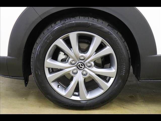 eca41040fa99549efceefd13d66f3396.jpg