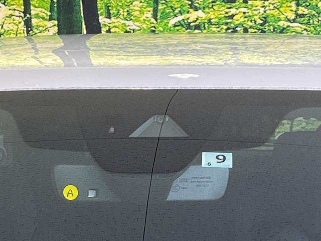 21114690_carP_l_15.jpg