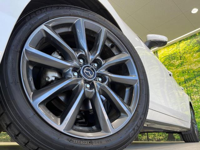 21114690_carP_l_7.jpg