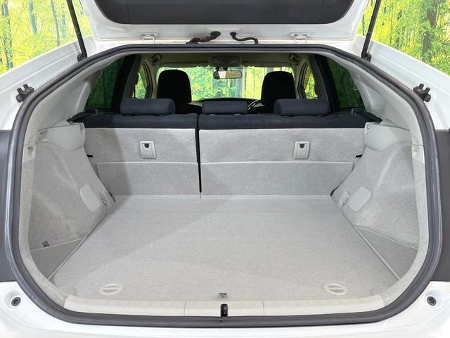21928145_carP_l_6.jpg