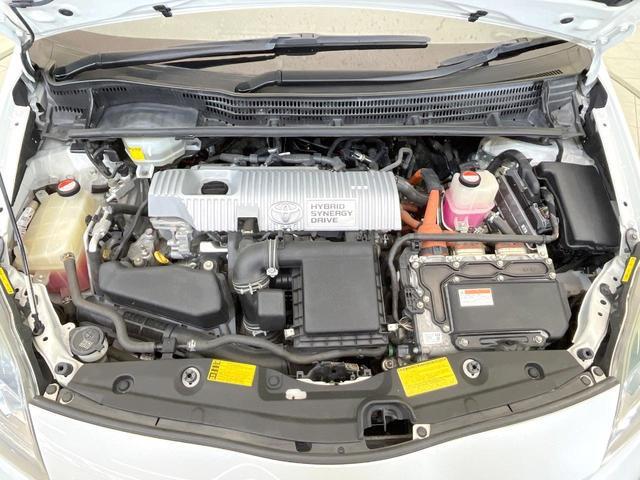 21928145_carP_l_9.jpg