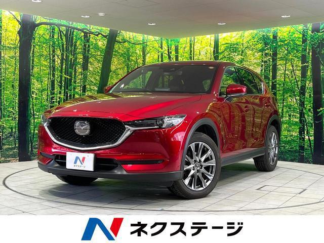 21709228_carP_l_1.jpg
