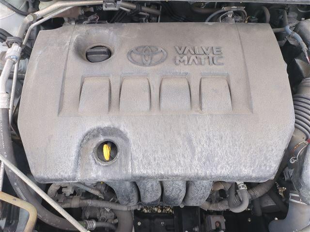 08.jpg