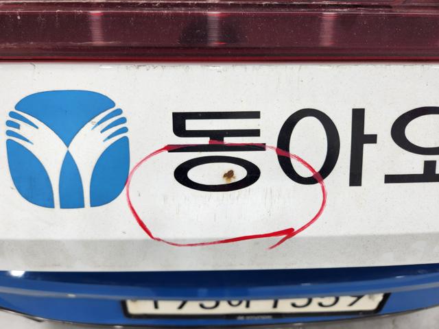 lotterental_173650272_YZ9Al_6.jpg