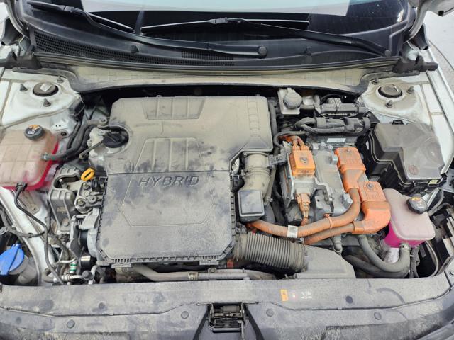 lotterental_173700886_xCBB8_7.jpg