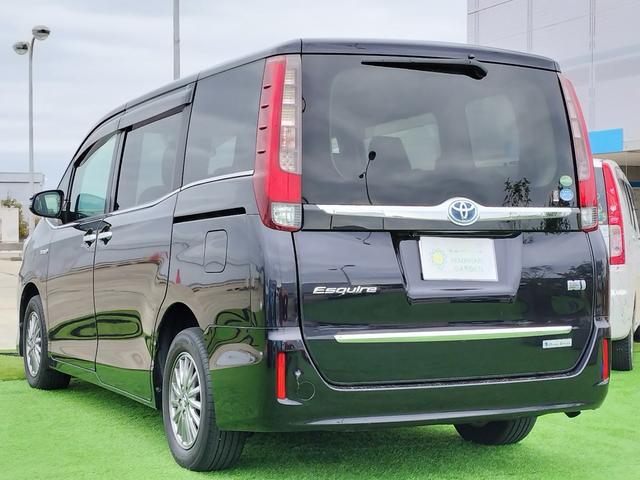 0709151A30260224W00217.jpg