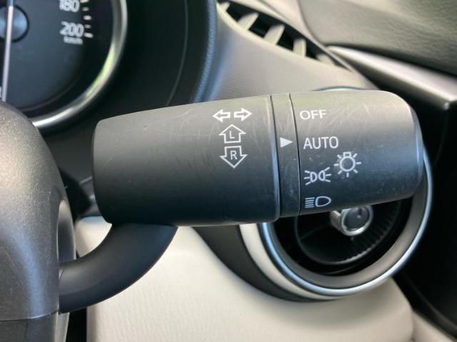 20839358_carP_l_11.jpg