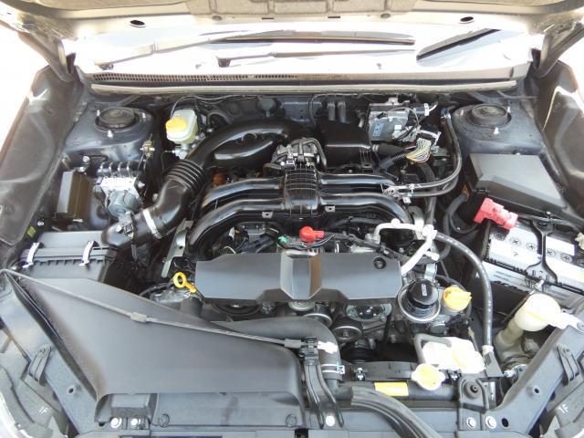 22625432_carP_l_17.jpg