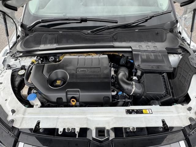 21889308_carP_l_17.jpg