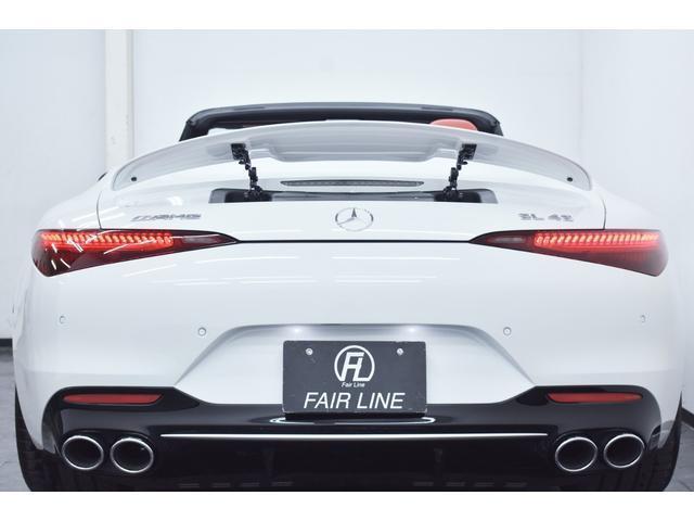 22108654_carP_l_19.jpg