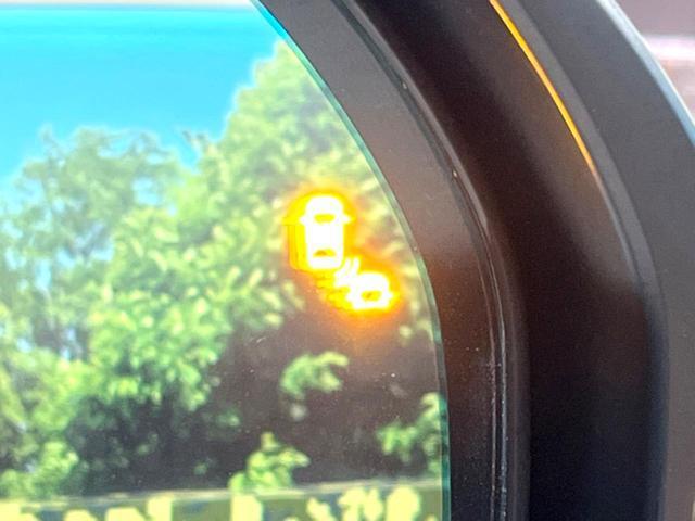 21583370_carP_l_13.jpg