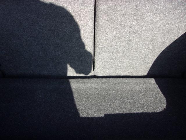 5efaf331759ba82b02db5ce8fa862e77.jpg