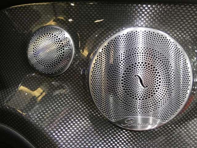 22237391_carP_l_11.jpg