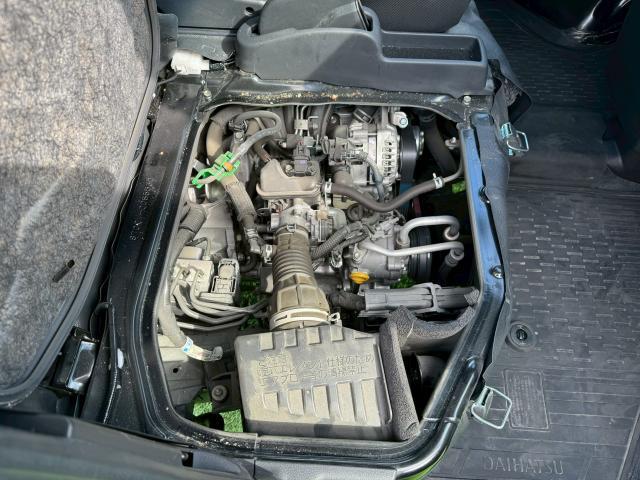 22819983_carP_l_12.jpg